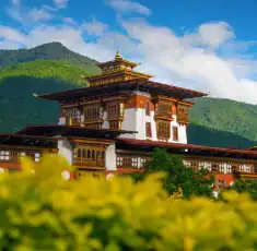 Economical Bhutan tour cost from Surat