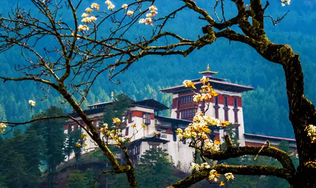 bhutan package tour booking from chennai